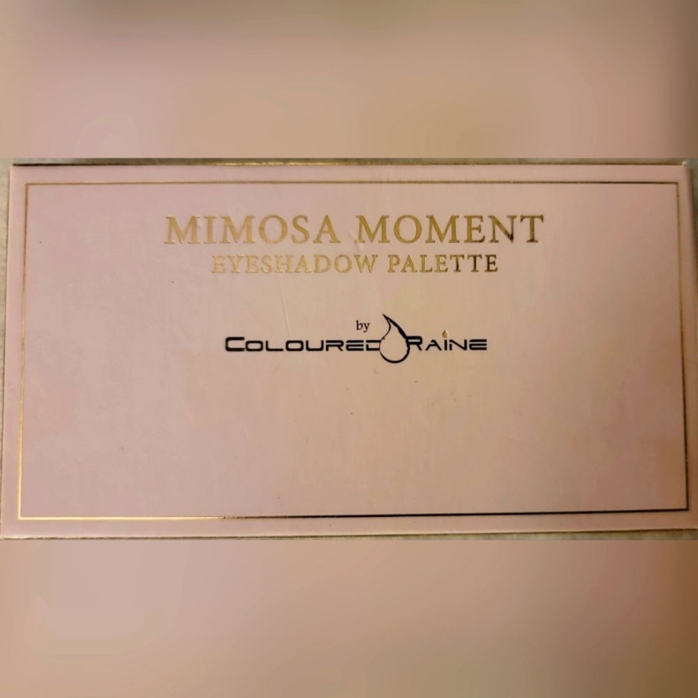 Colored Raine eyeshadow palette